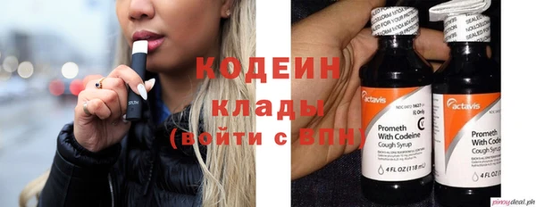 гашик Касимов