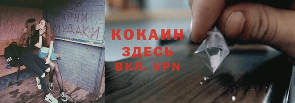 гашик Касимов