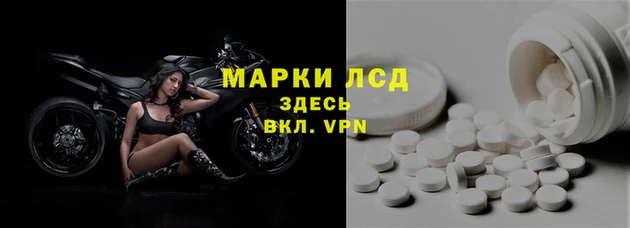гашик Касимов