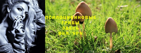 герыч Карпинск