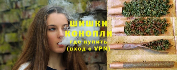 гашик Касимов