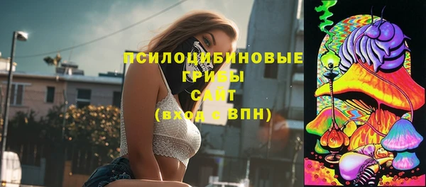 гашик Касимов