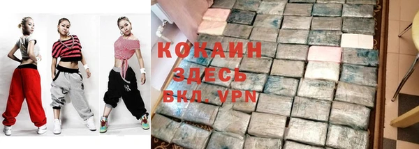 гашик Касимов